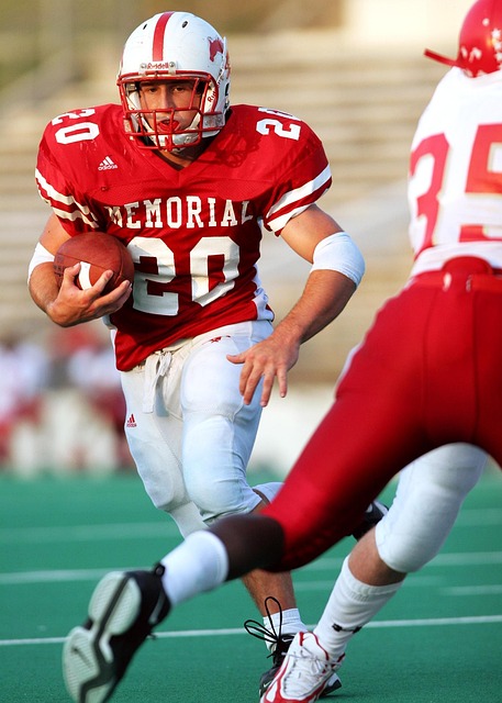 利不仅能提 利不仅能提